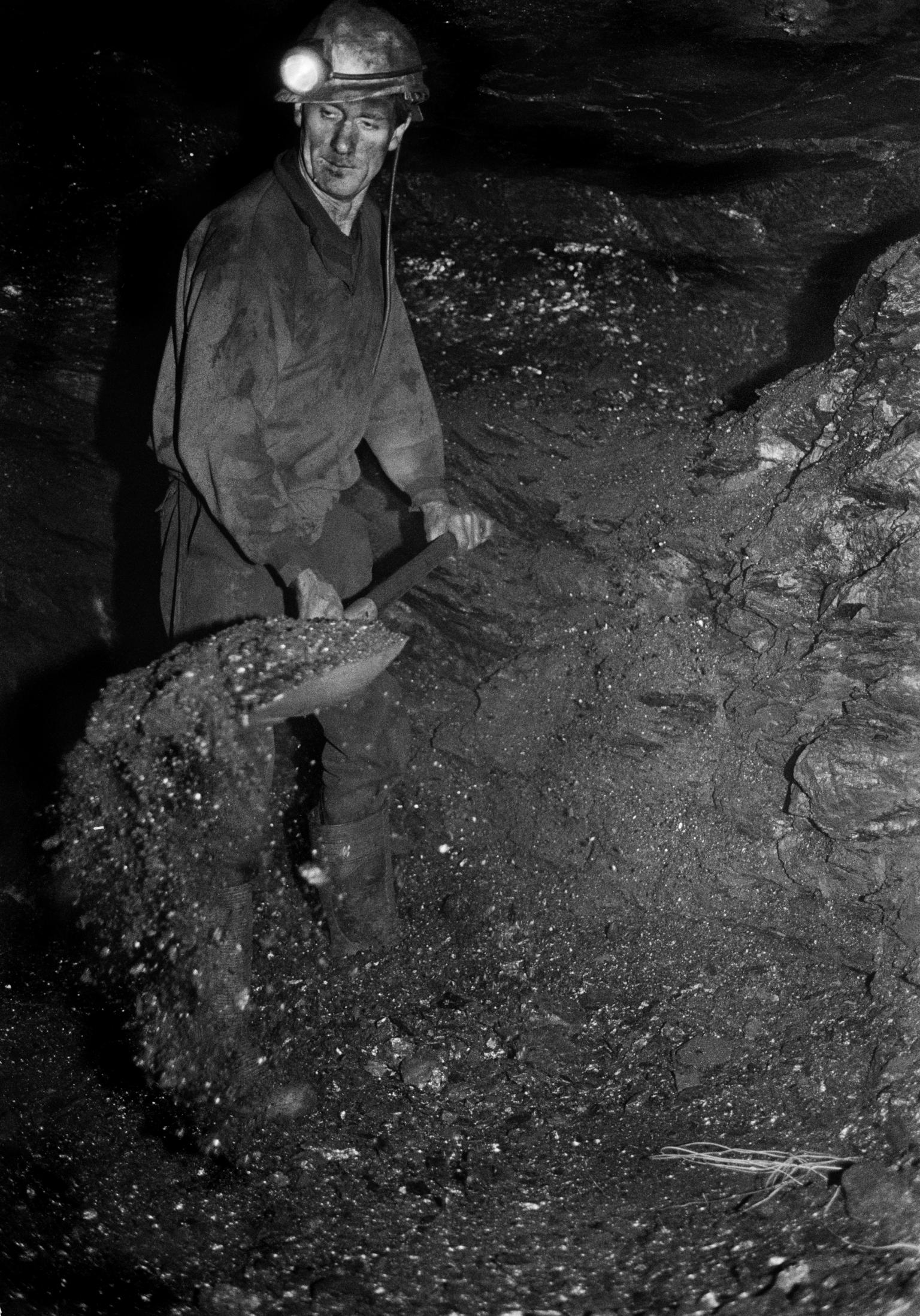 Black mountain coal. Miner hand loading coal - up to 7 tons a day. Neath Valley, Wales