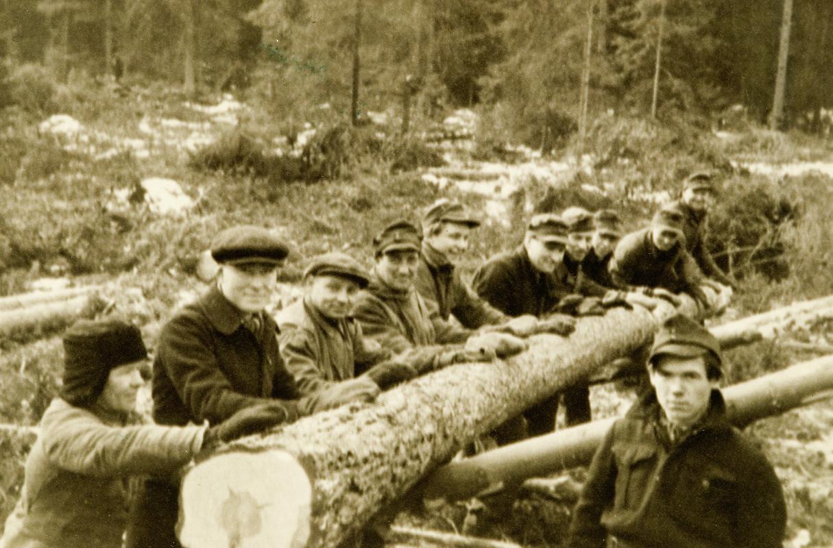 Polish soldiers "logging" in Germany