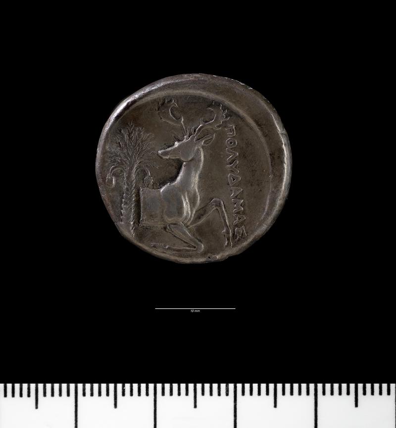 Ephesos tetradrachm