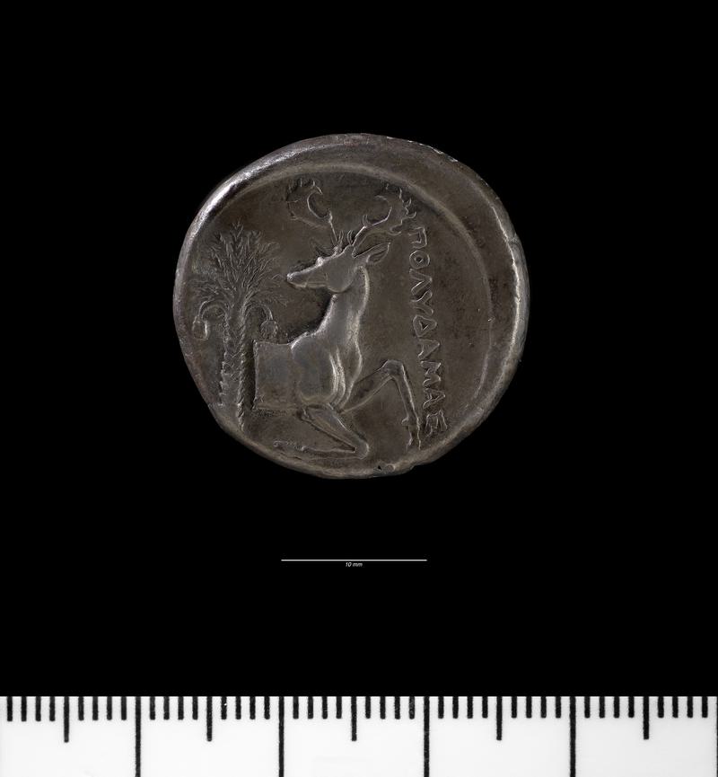 Ephesos tetradrachm