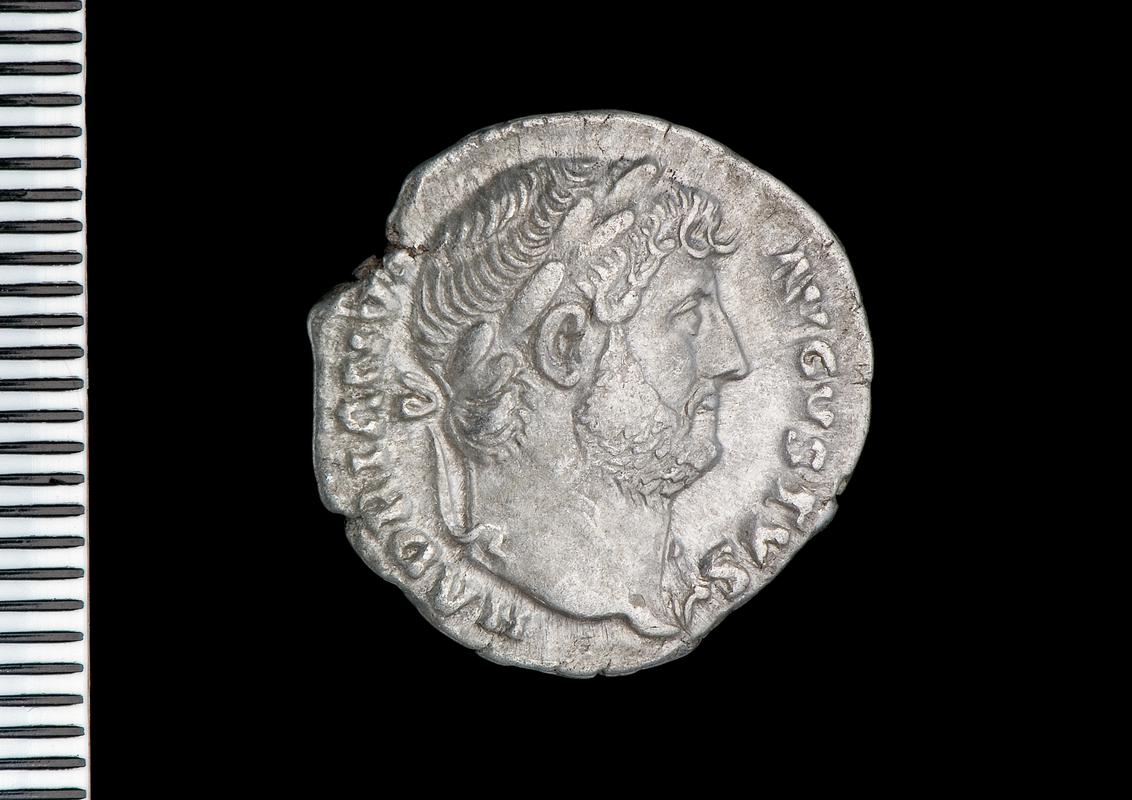 silver denarius (obv.)