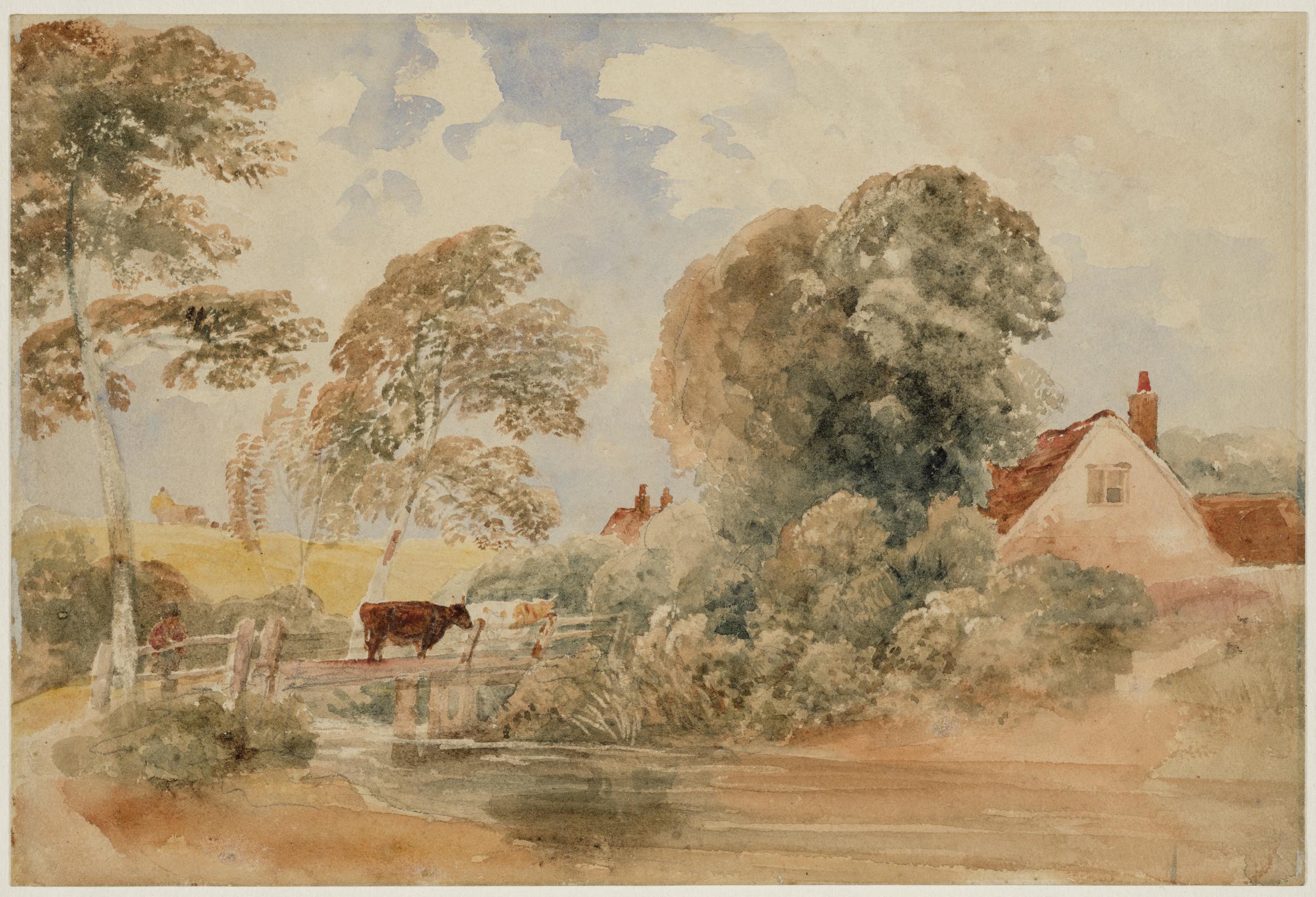 Cattle on bridge over stream with cottage in trees