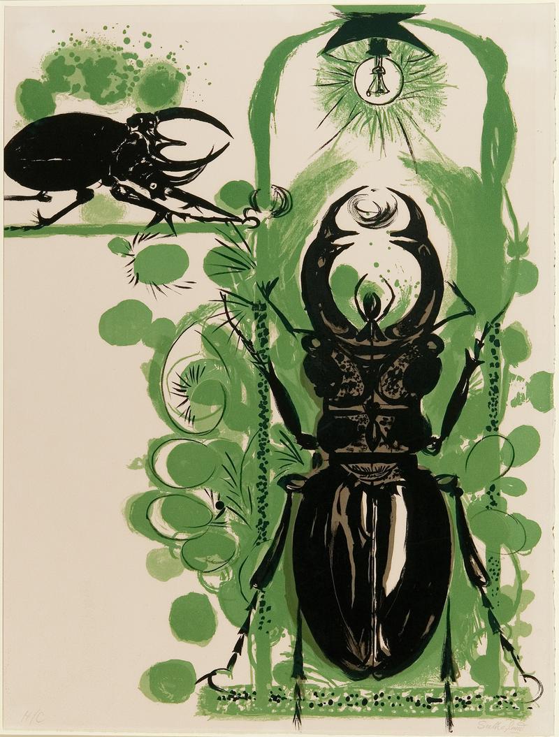 Beetles II