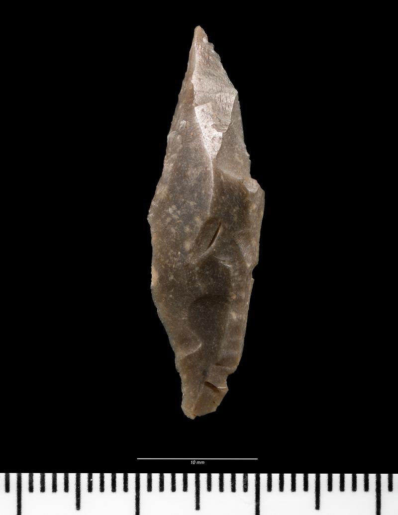 Mesolithic flint microlith