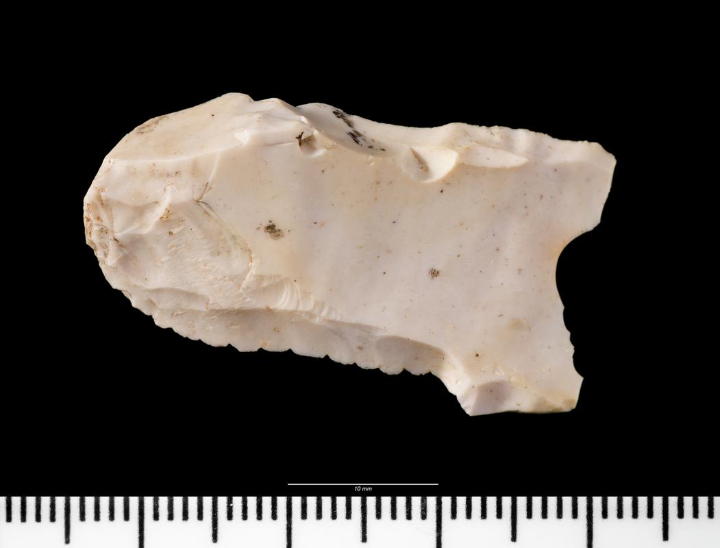 Early Mesolithic flint microdenticulate