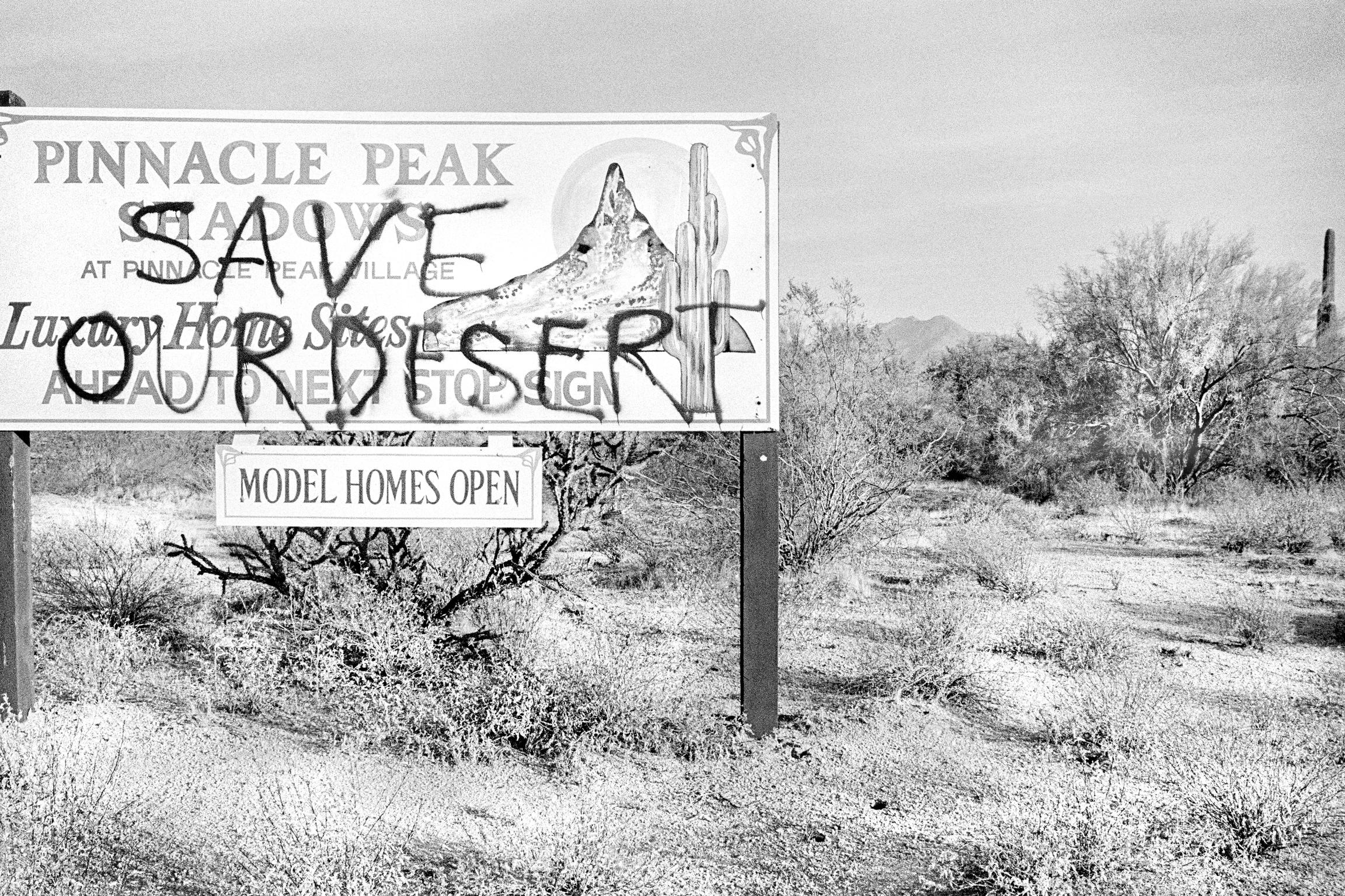 South Phoenix desert landscape. Arizona has a strong conservation movement