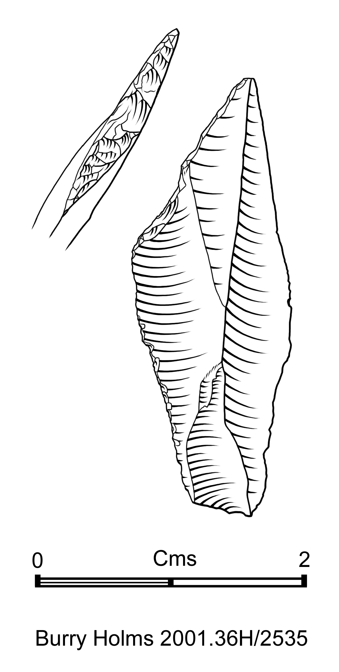 Early Mesolithic flint microlith