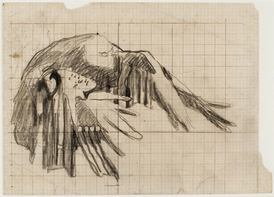 Study for wings