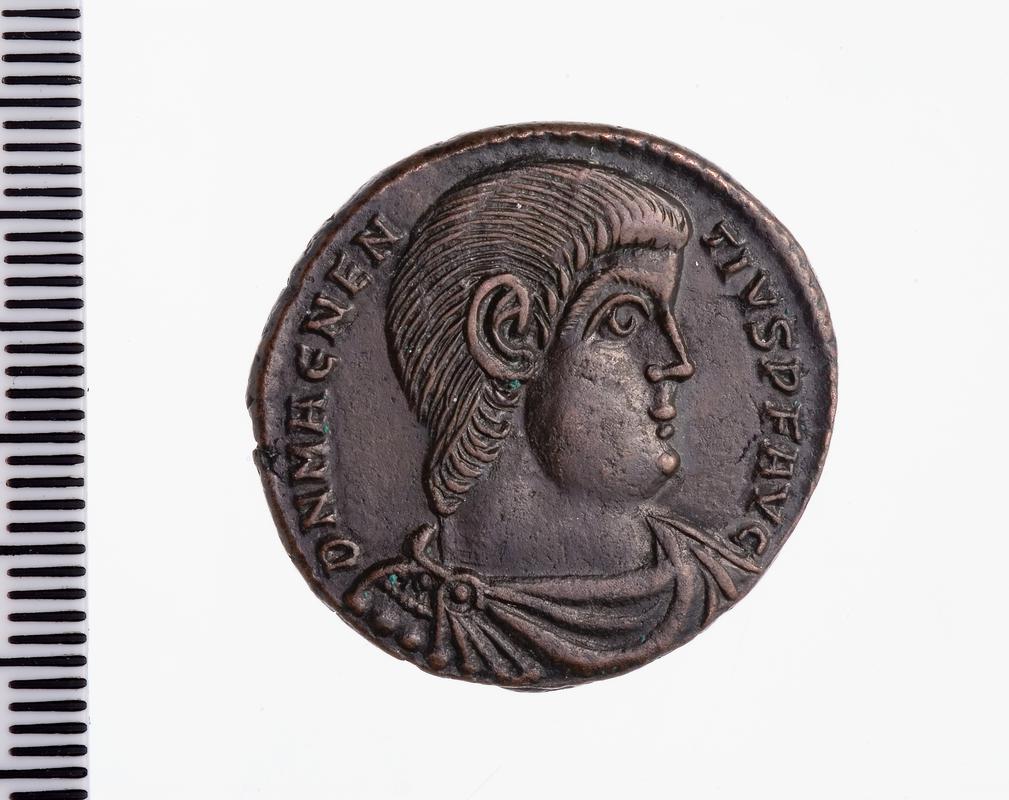 Magnentius maiorina