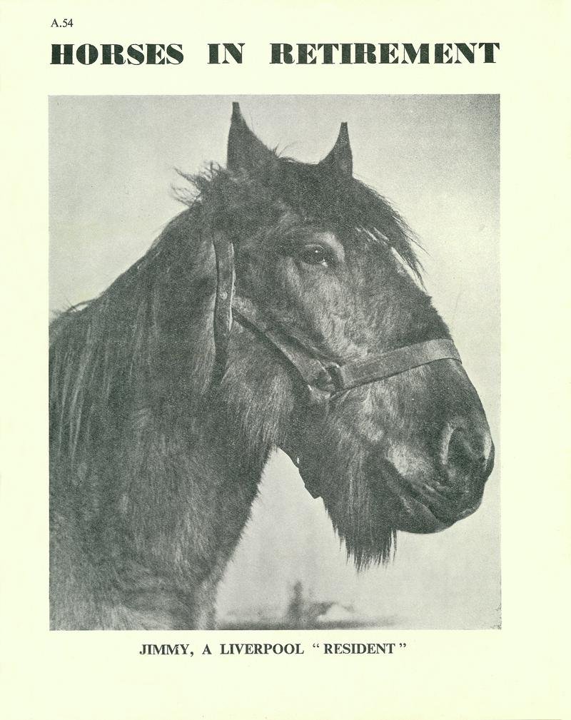 Front Cover of "Horses in Retirement"