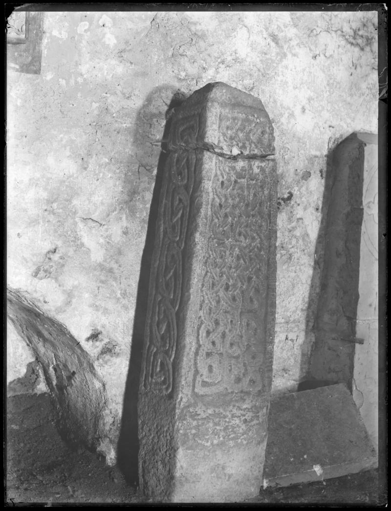 Photographic Negative