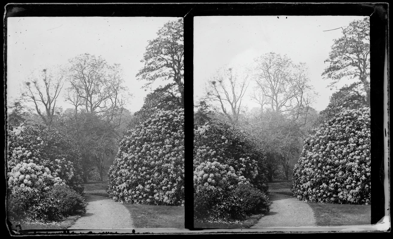 Penllergare, garden, photograph
