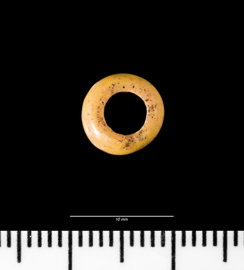 Iron Age glass annular bead