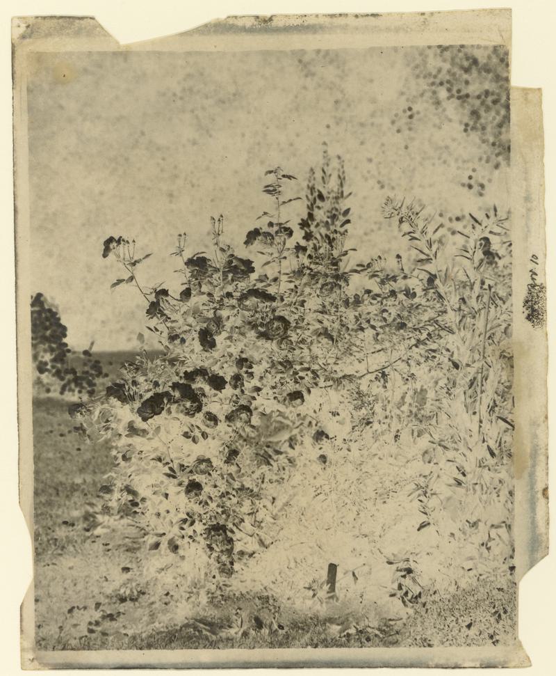 Paper negative
