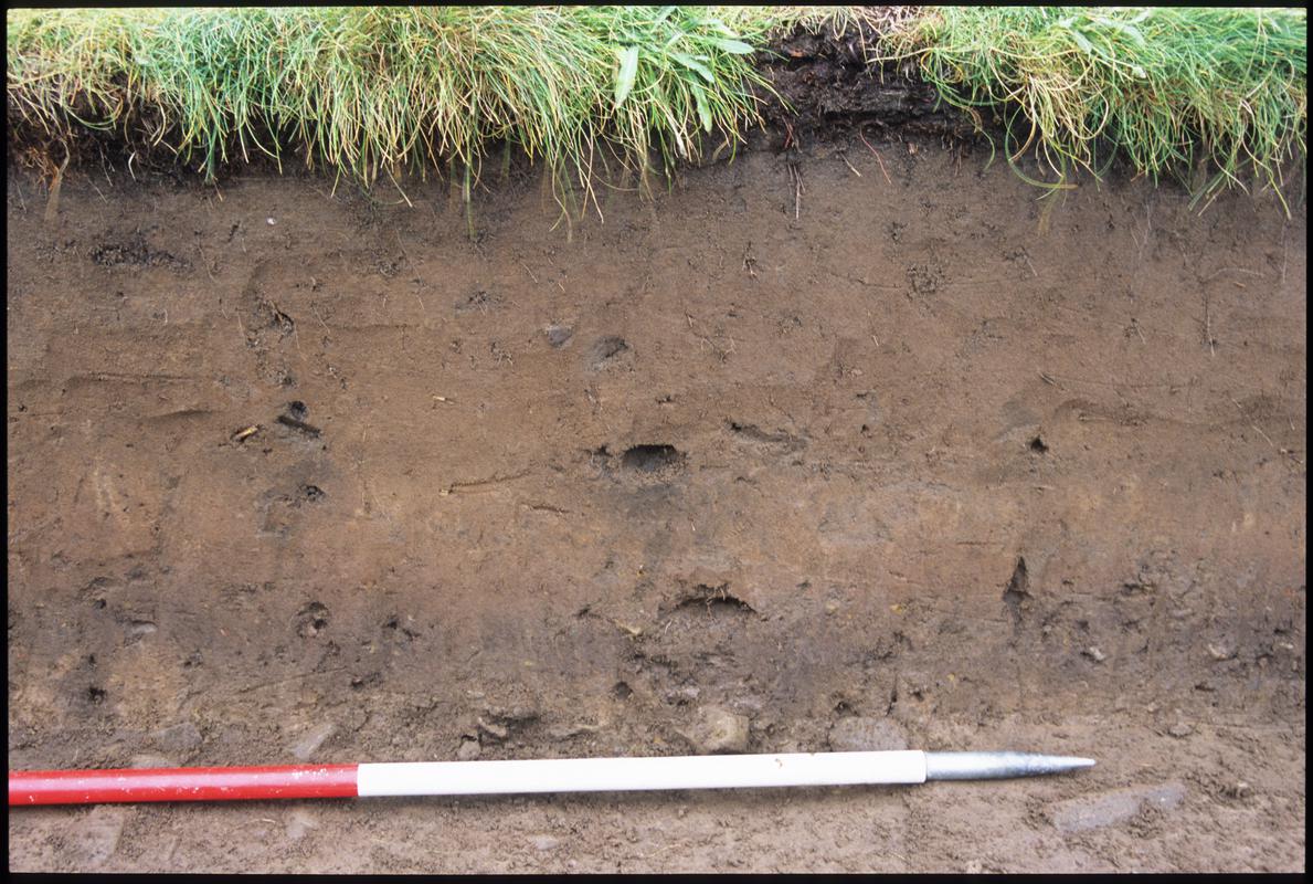 Burry Holms, Gower. 2001 Trench 1 (S). Section at the north of the trench. Sequence shot 4.