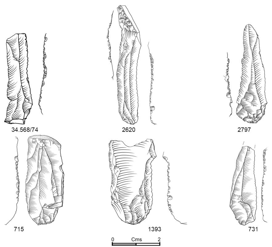 Early Mesolithic flint microdenticulate