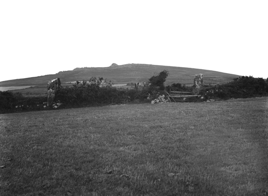 Photographic Negative