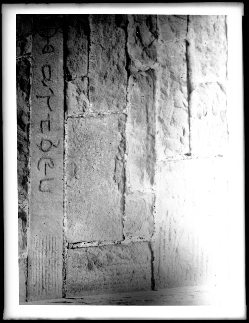 Photographic Negative