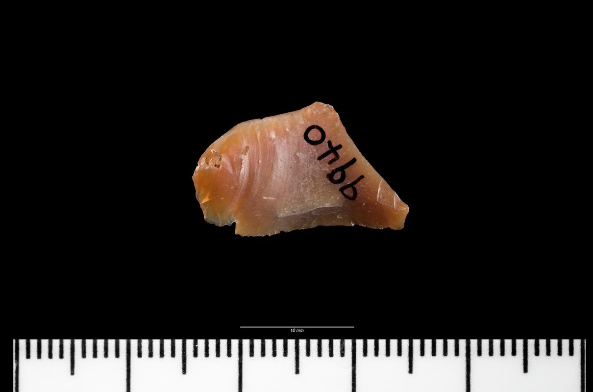 Mesolithic flint flake