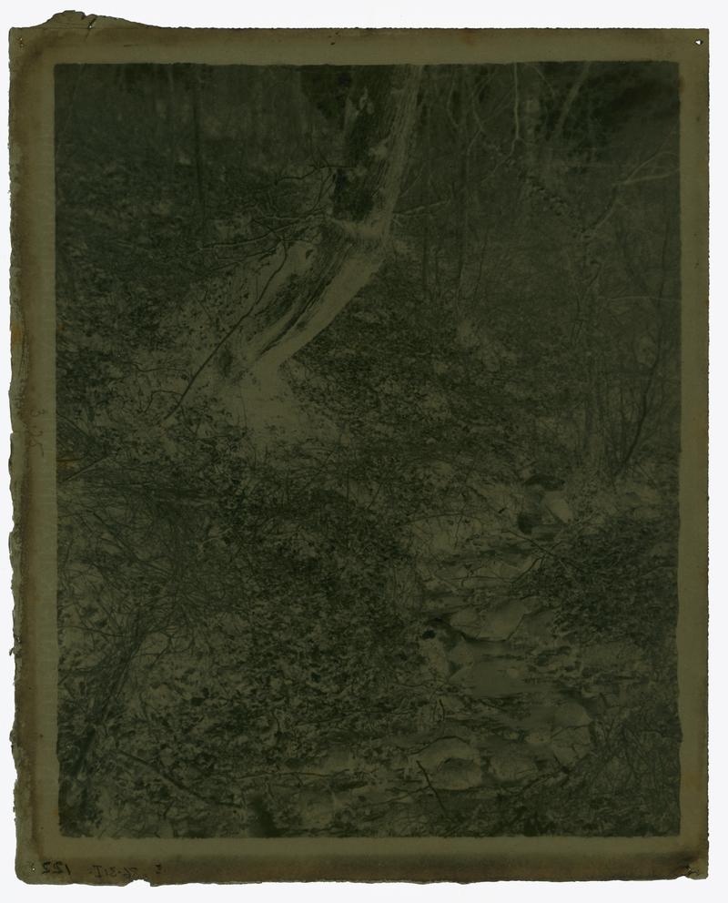 river running through wooded valley, negative