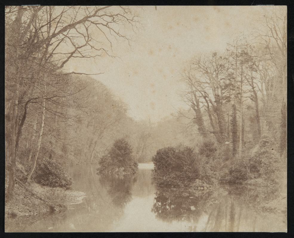 Lake, photograph