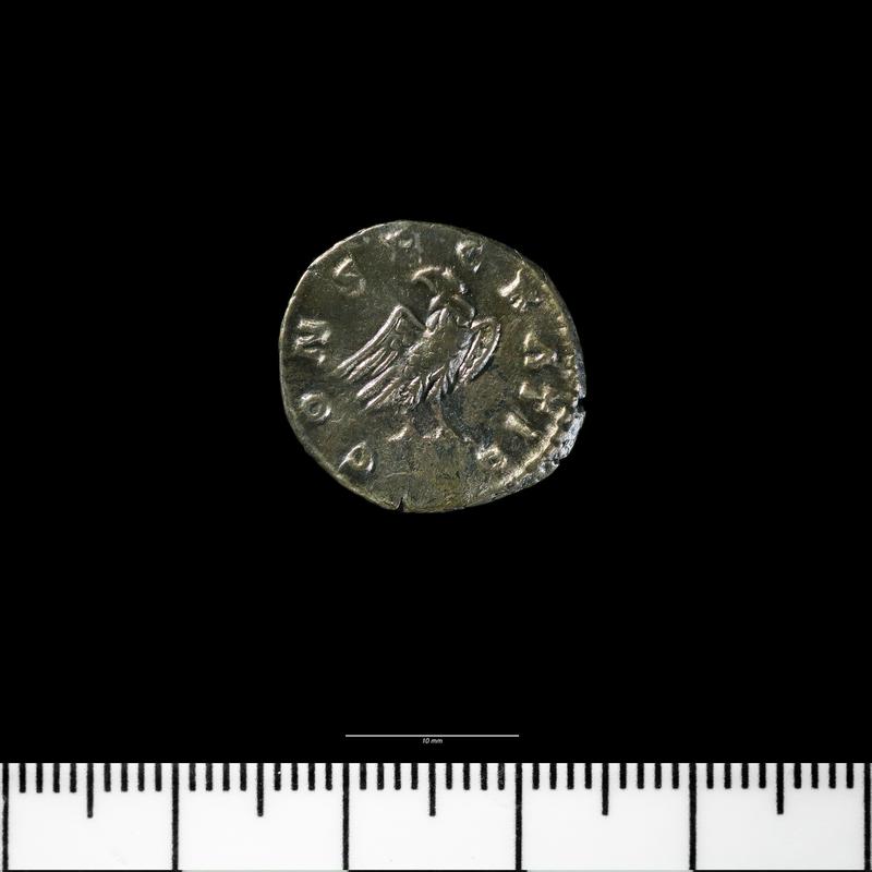 Caerleon Prysg Field coin hoard - Roman Coin