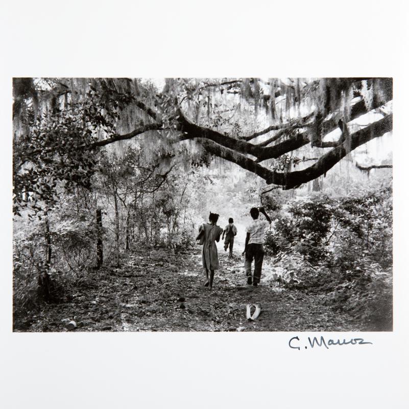 Kids playing in the backyard. Daufuskie Island, South Carolina