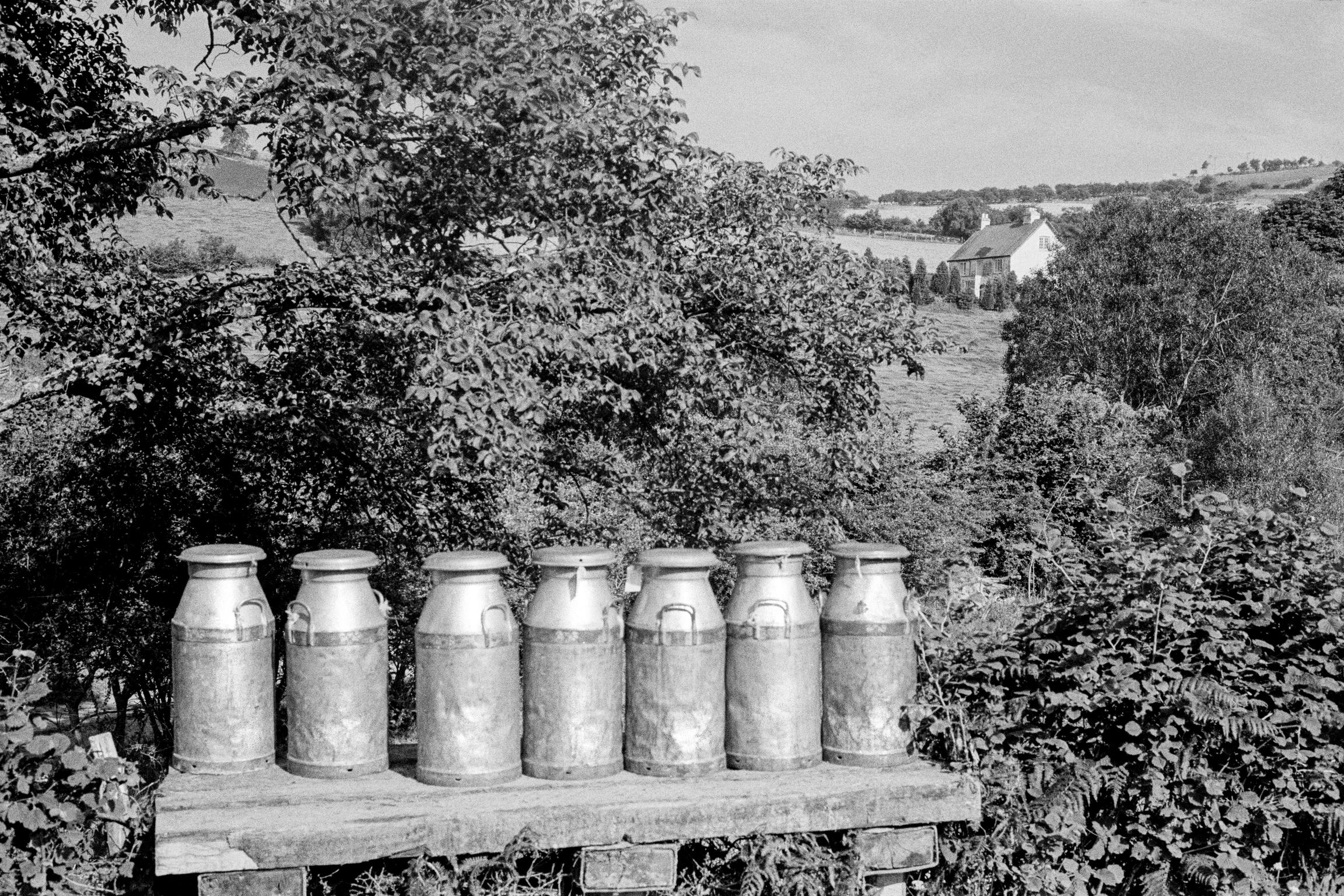 Milk Churns waiting pick-up to go to the dairy. Upper Chapel, Wales