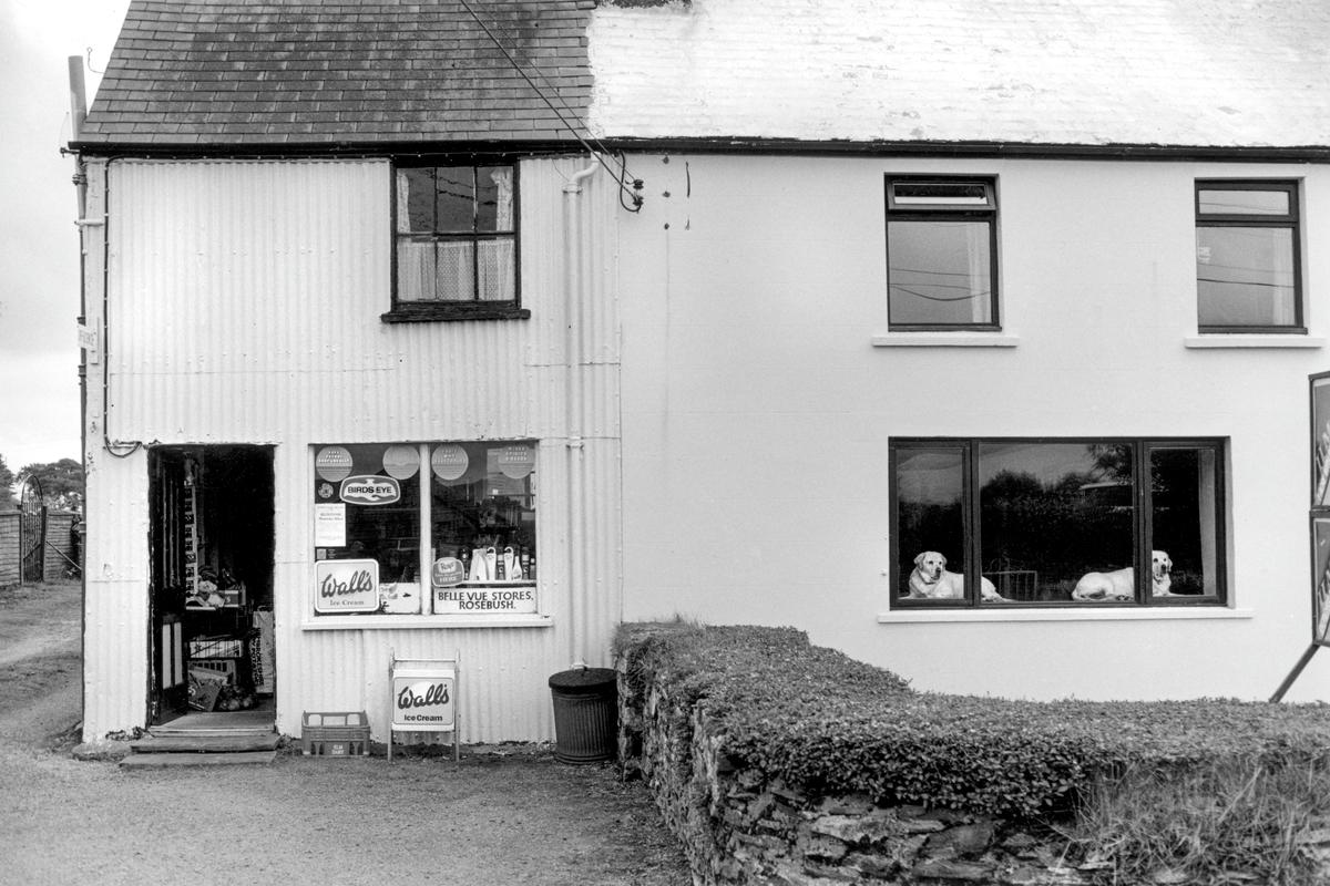 GB. WALES. Rosebush. 'BellVue' store. 1994. (see 3190-03, five years earlier, the dogs are the parents of the previous dogs)