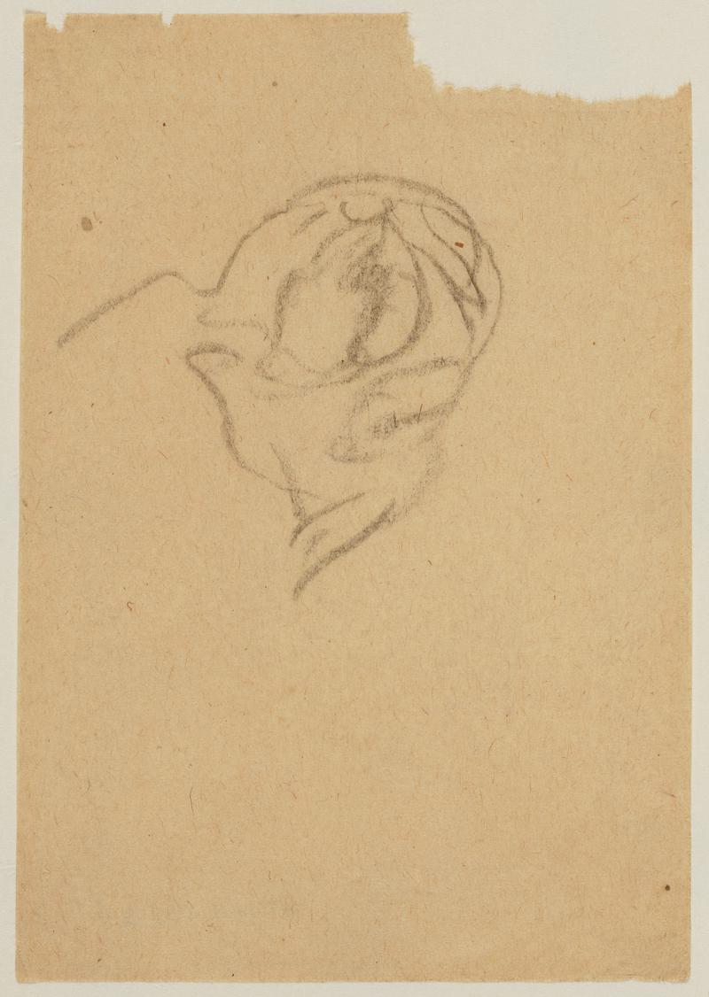 Study of Right Side of Man's Head