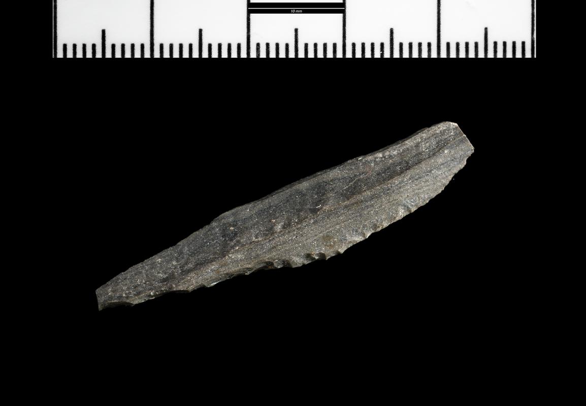 Mesolithic chert microlith