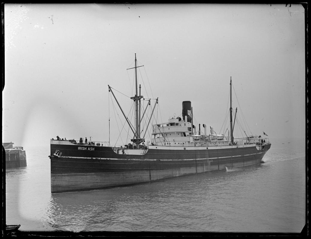 S.S. IRISH ASH, glass negative