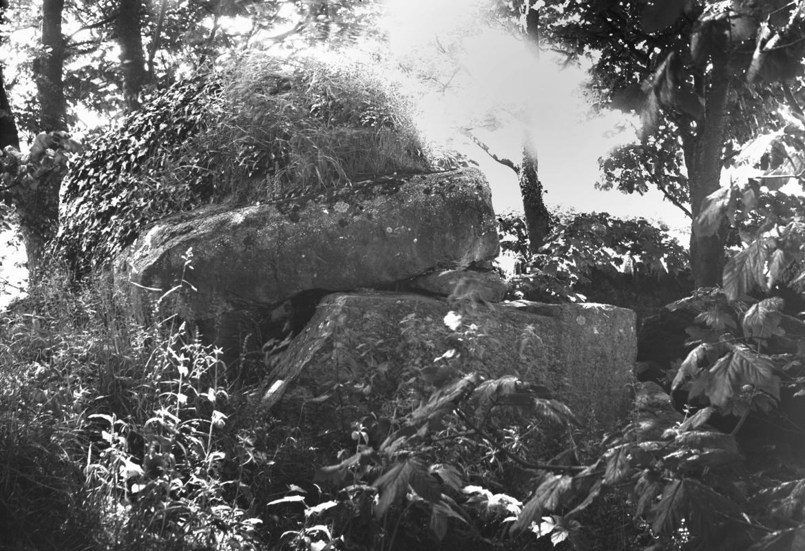 Glass plate negative; Bryn Celli Ddu chambered tomb