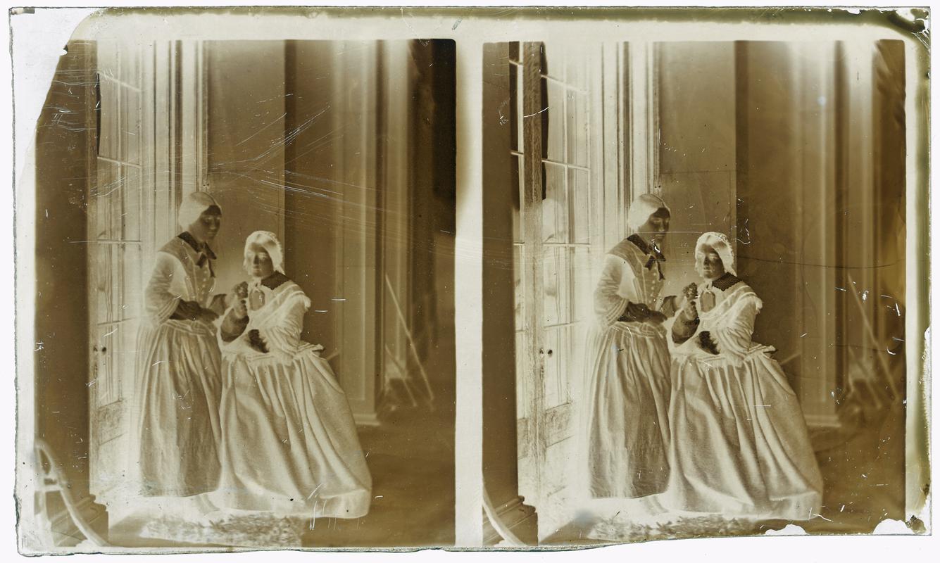 Penllergare House, glass negative