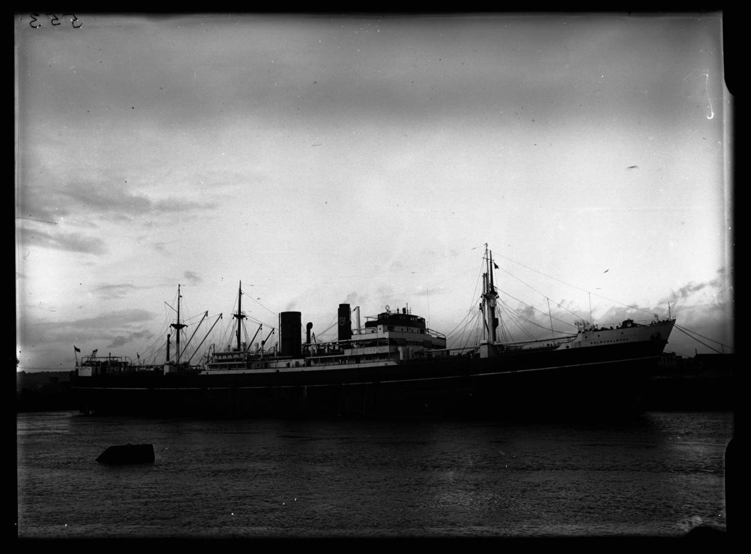 S.S. BALMORALWOOD, glass negative