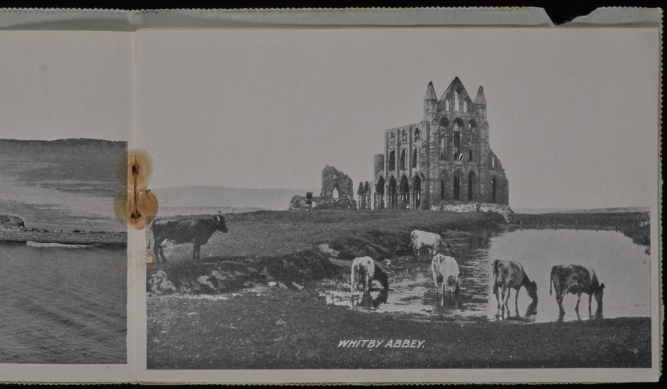 Souvenir letter card