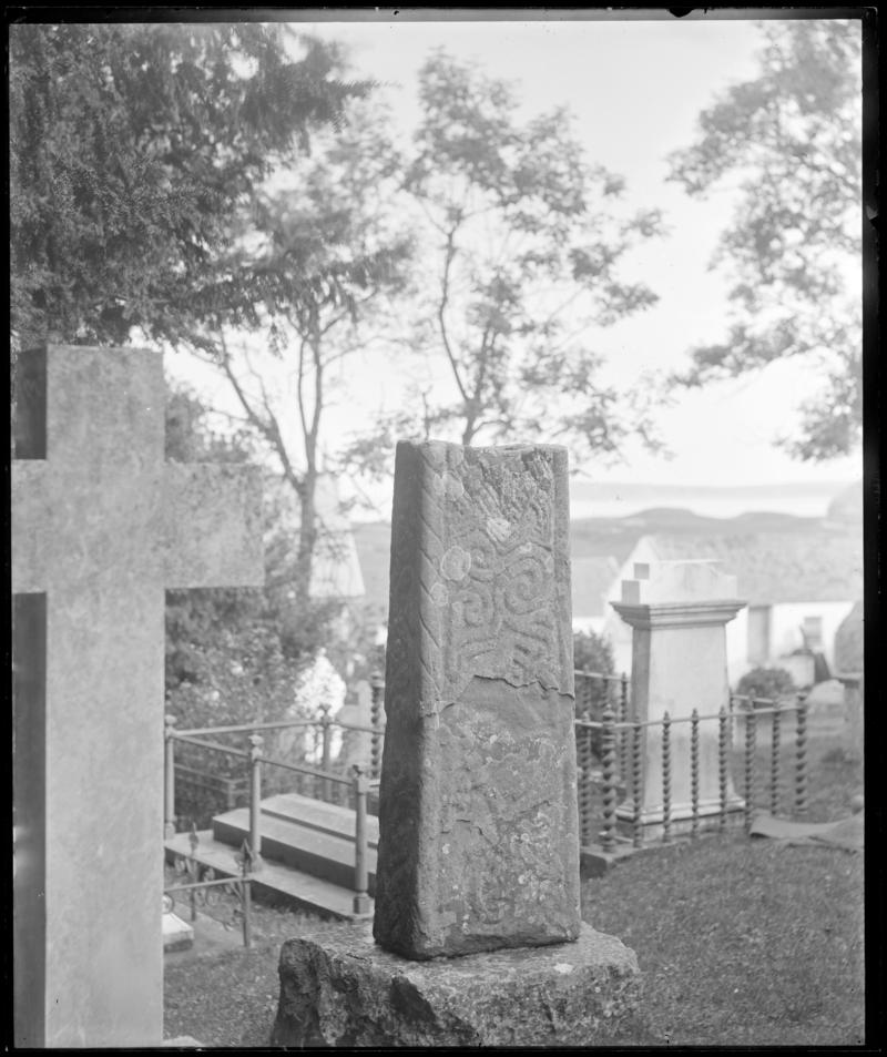 Photographic Negative