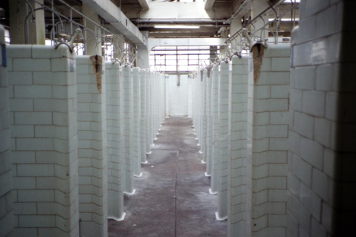 Oakdale Colliery, photograph