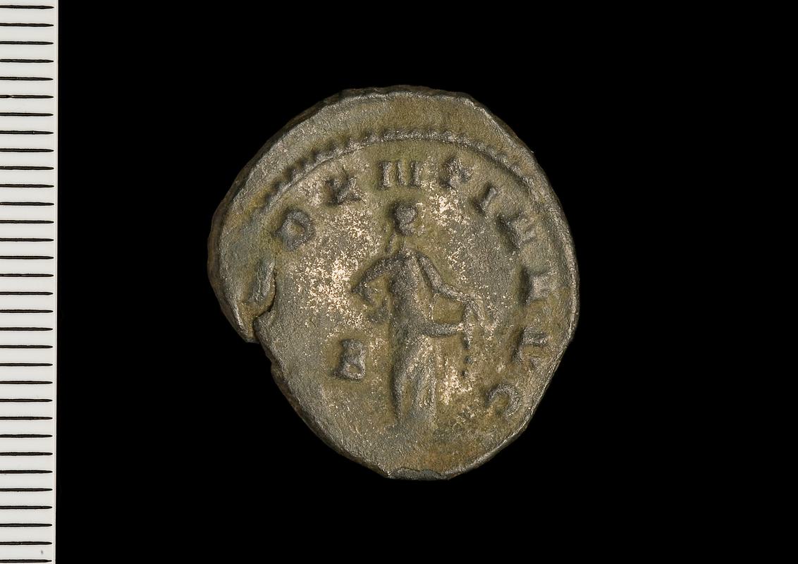 Llys Awel Roman coins