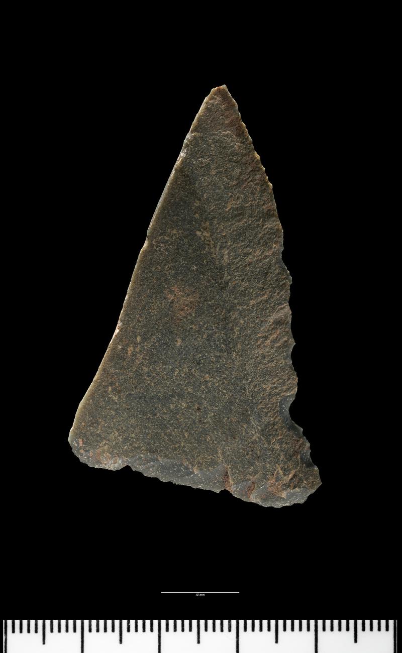 Upper Palaeolithic stone blade from Hoyle's Mouth Cave. Dorsal surface