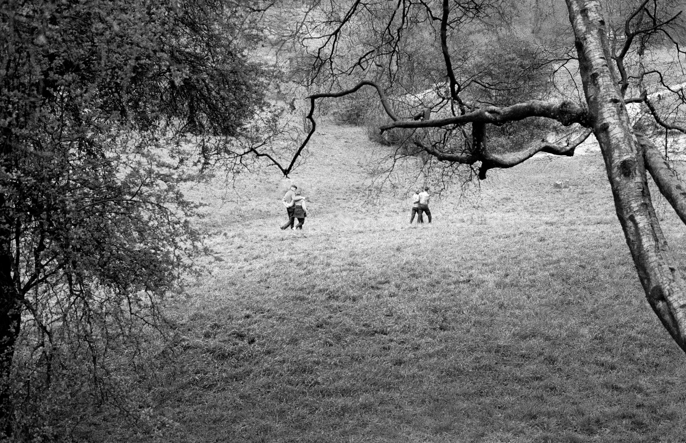 Hampstead Heath in North London. A favourite walking spot for young lovers. Taken on a Contax 2 camera (first professional camera)