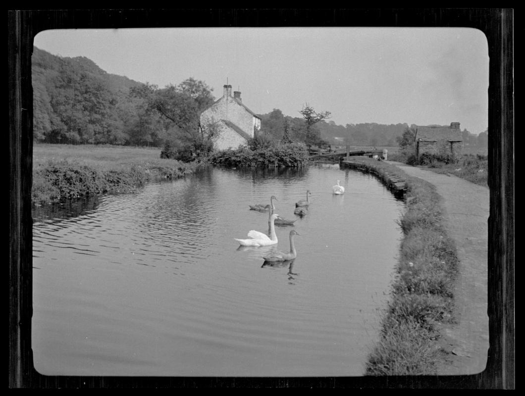 Glamorganshire Canal, negative