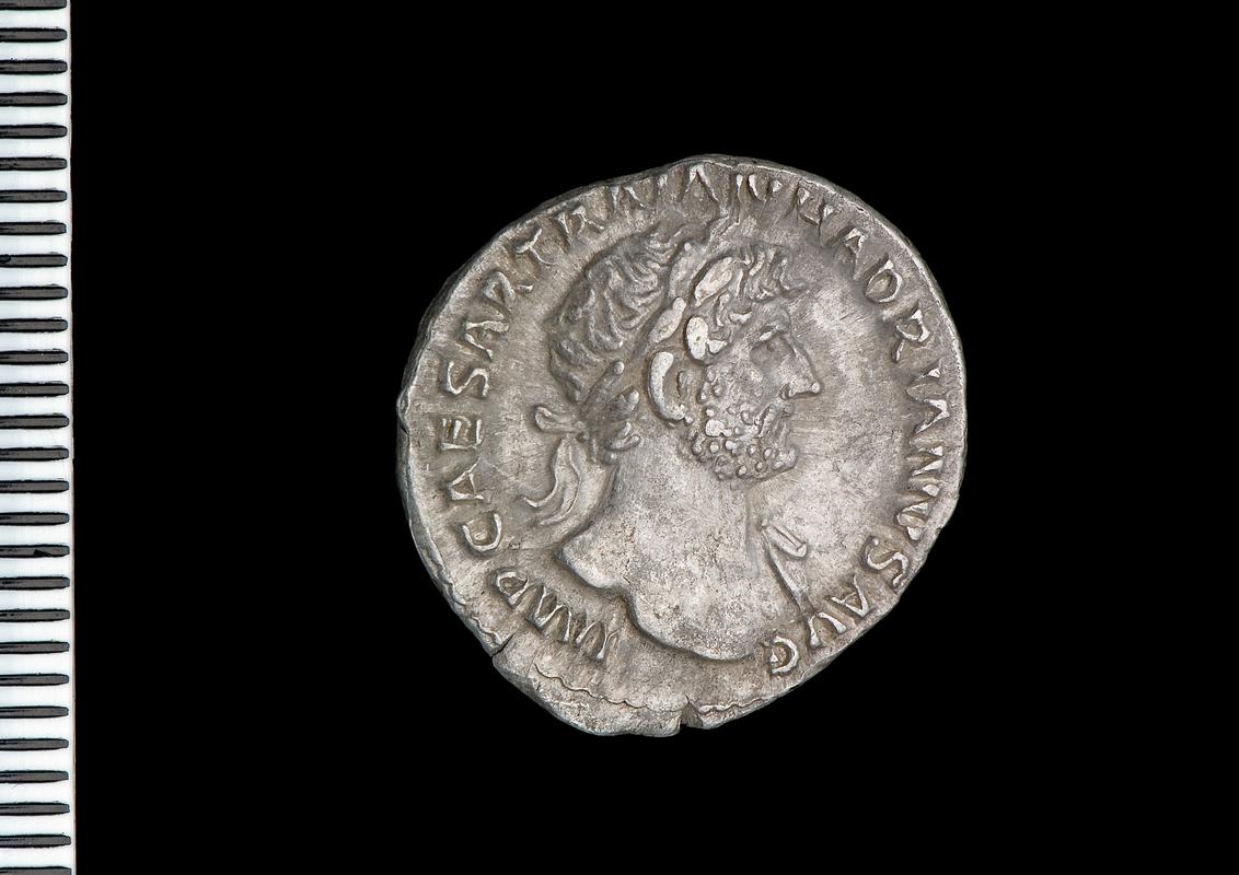 silver denarius (obv.)