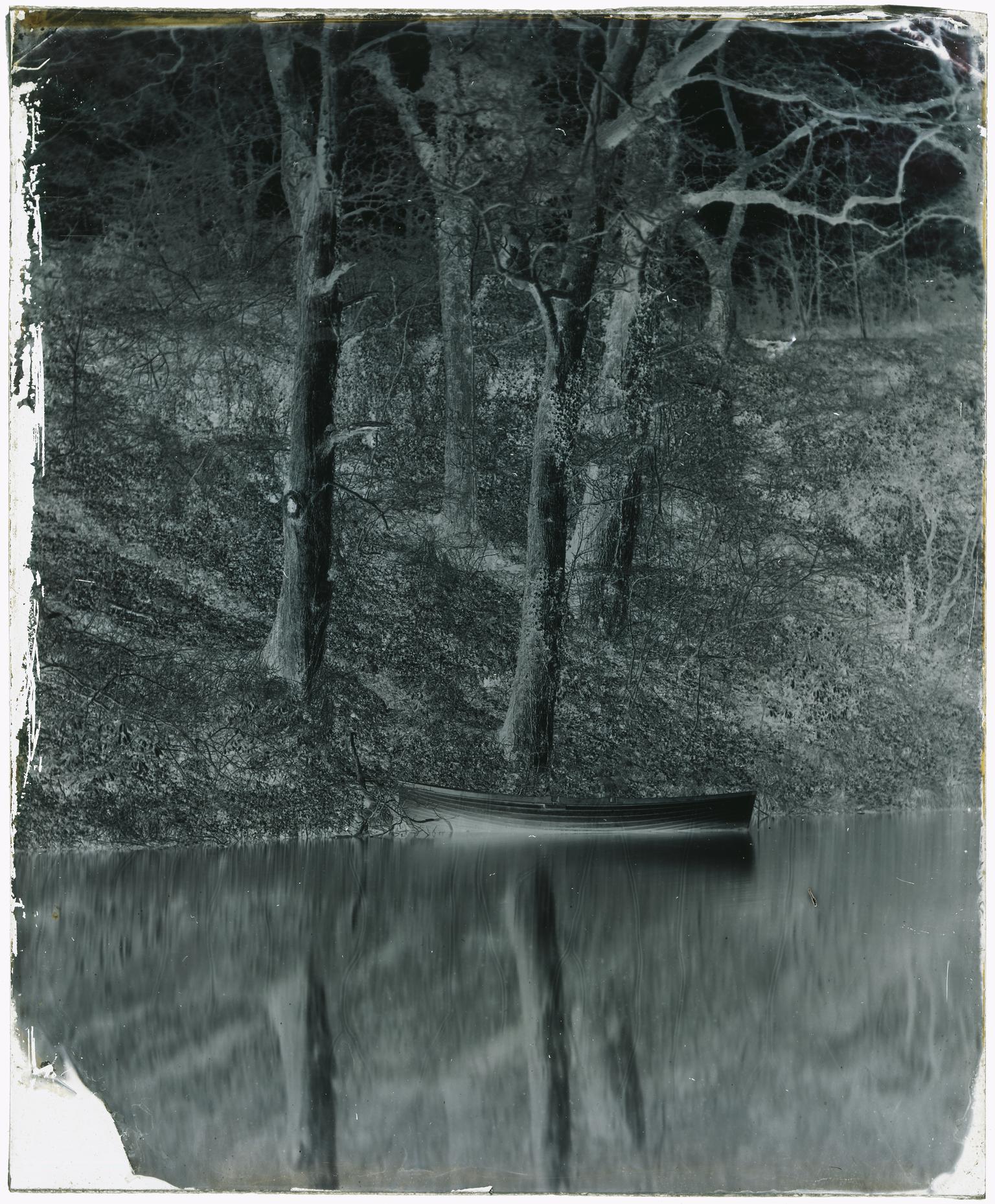 Penllergare, upper lake, glass negative