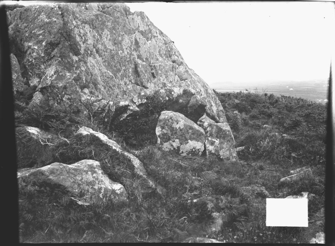 Photographic Negative