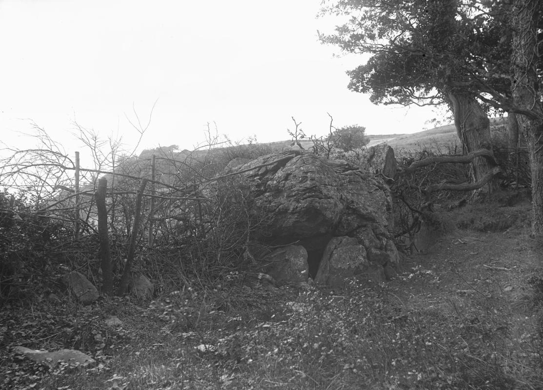 Photographic Negative