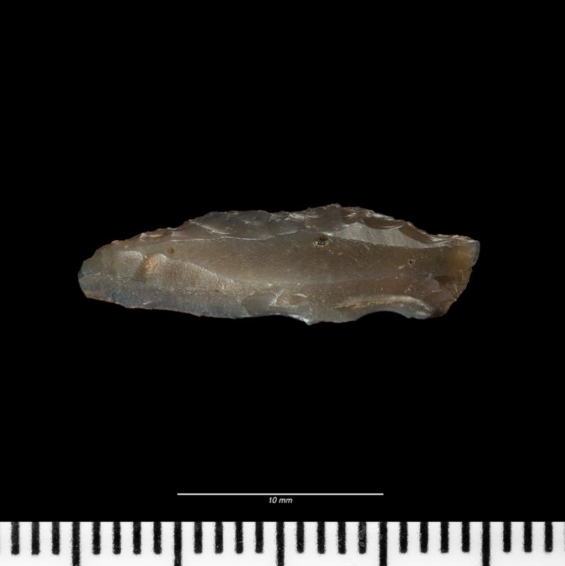 Mesolithic flint microlith from Gwernvale