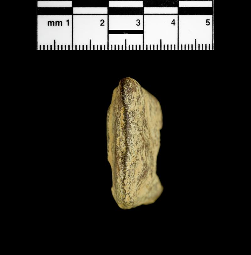 Late Bronze Age bronze socketed axe