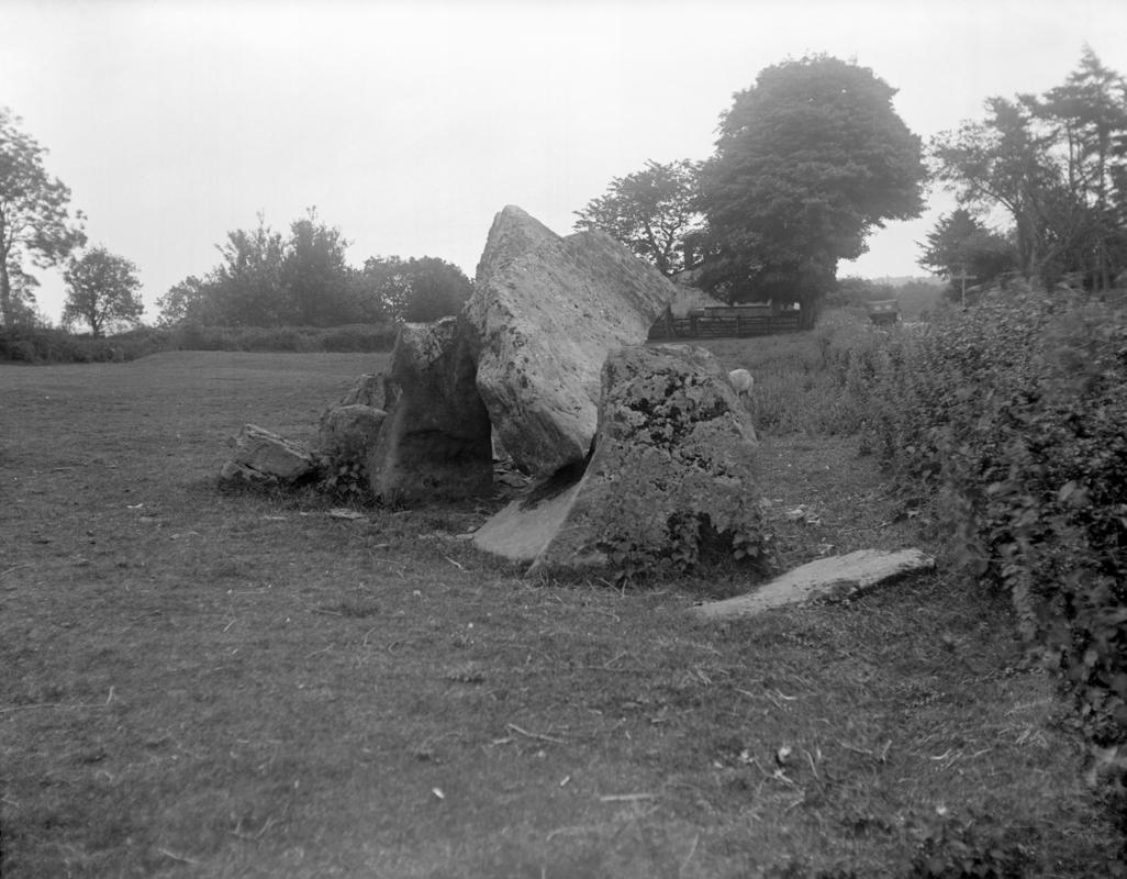 Photographic Negative