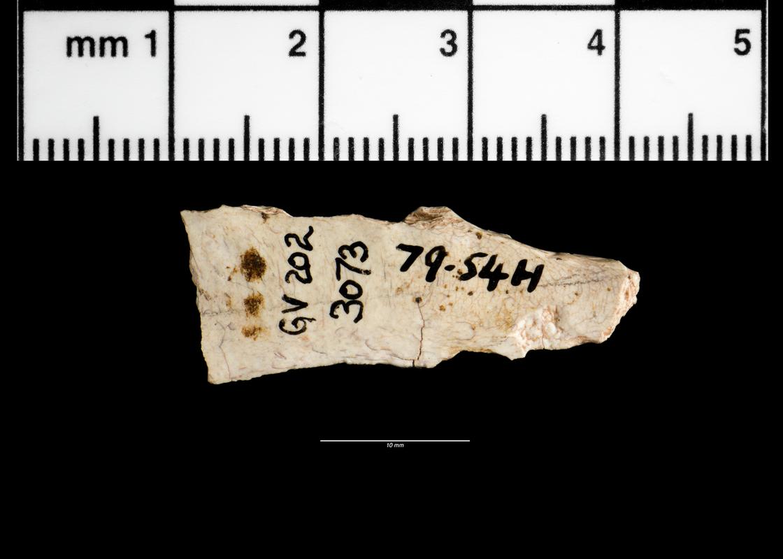 Upper Palaeolithic flint backed blade